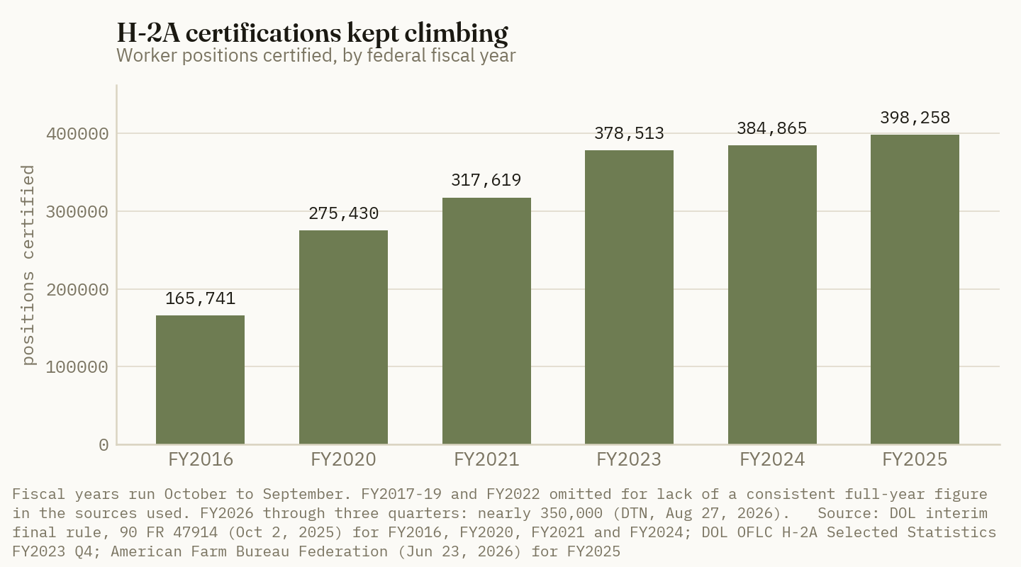 H-2A certified positions rose from about 166,000 in FY2016 to more than 398,000 in FY2025, climbing through years of rising survey-based wages.